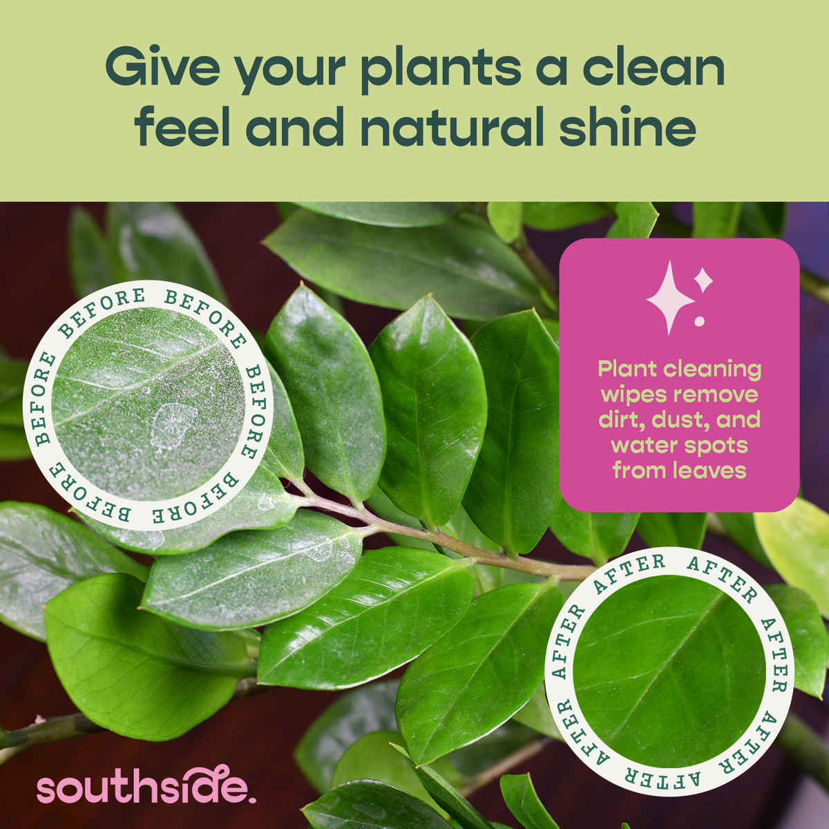 Fertilizers & Plant Care