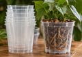 Clear Drain Pots (3)