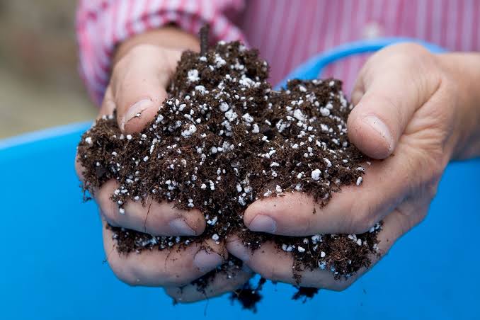 Perlite, 1 Gallon bag