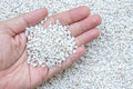 Perlite, 1 Gallon bag